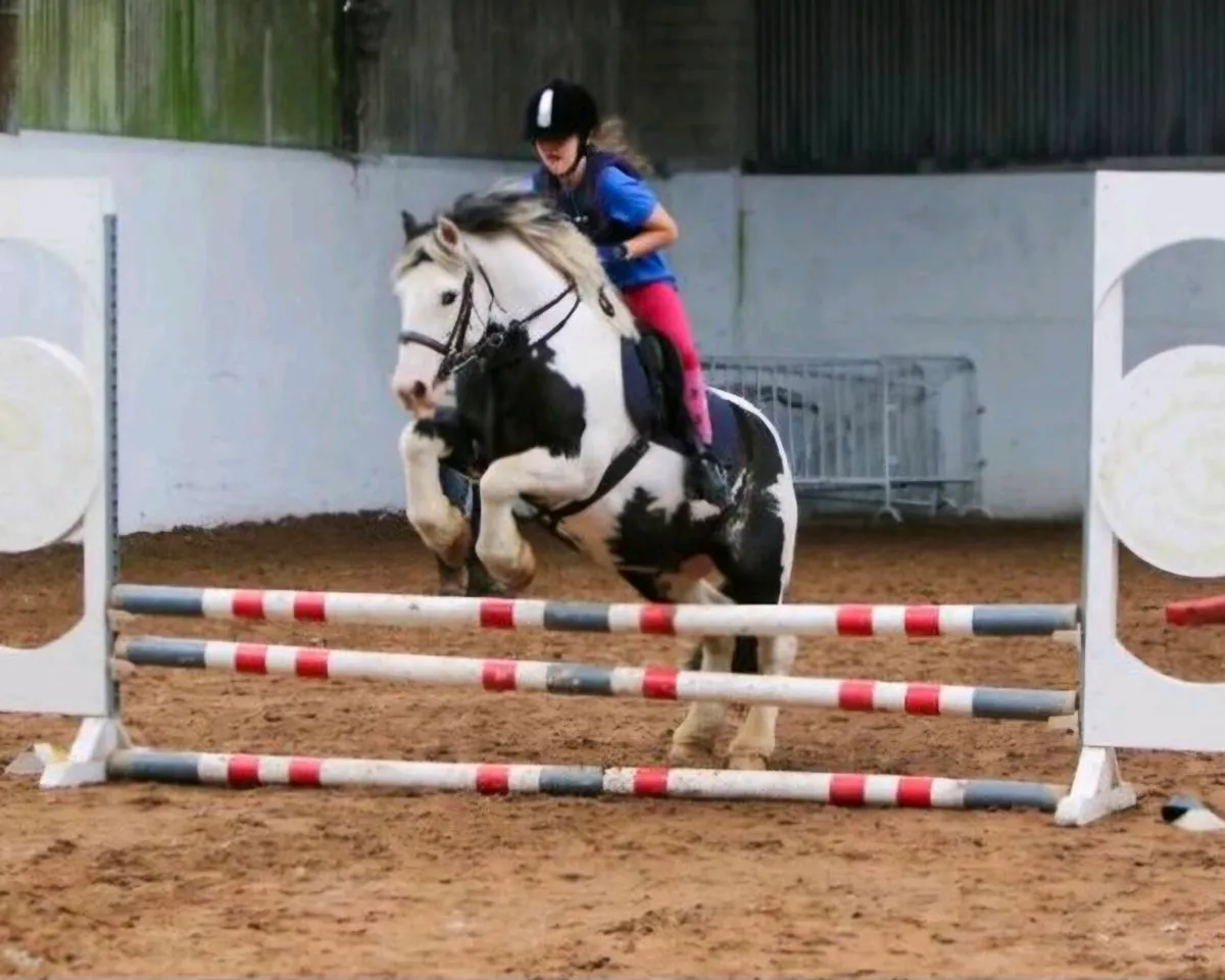 Perfect child's pony - Image 1