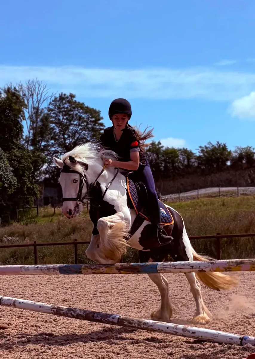 Perfect childs pony - Image 2