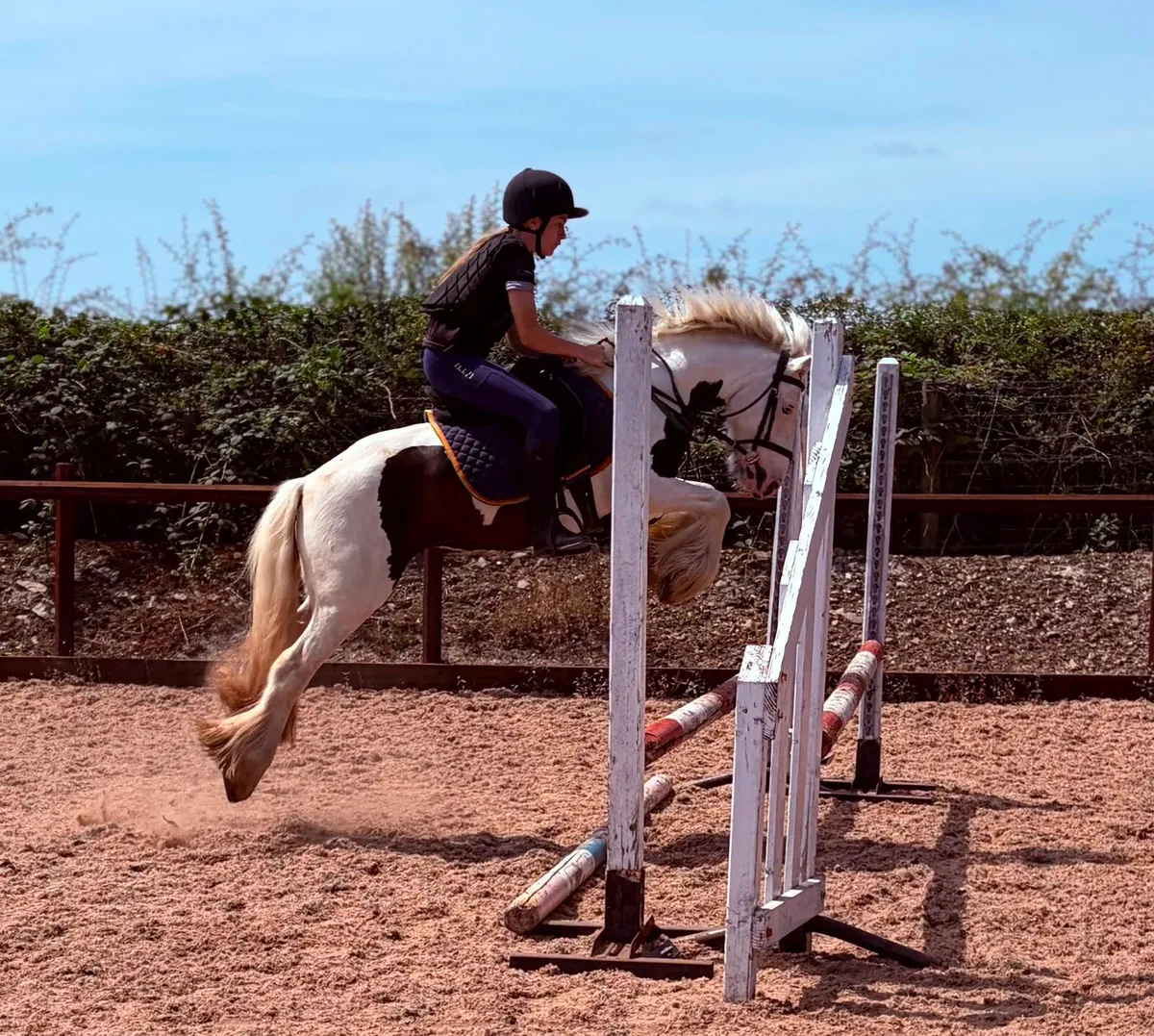Perfect childs pony - Image 3