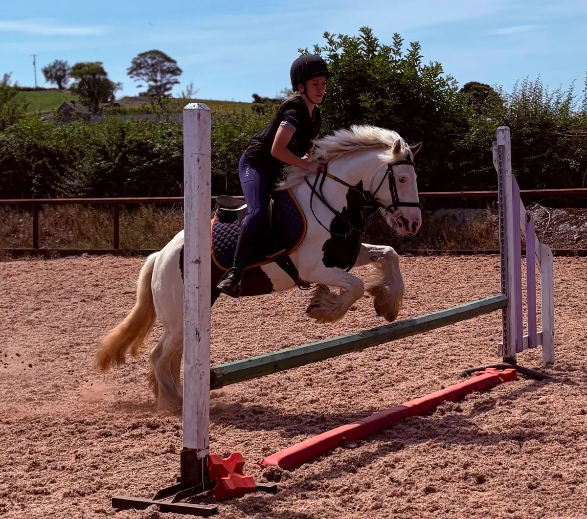 Perfect childs pony - Image 1