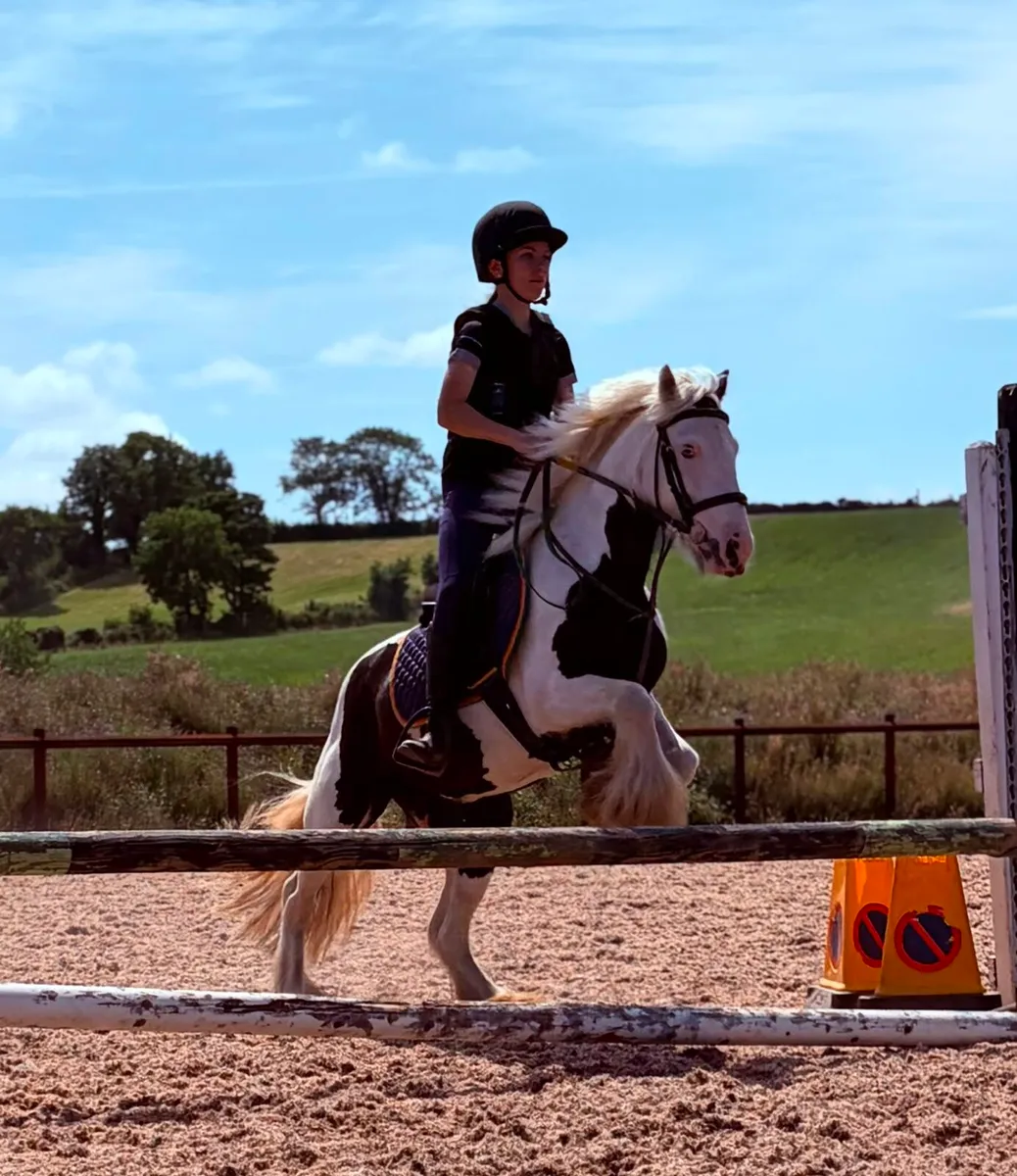 Perfect childs pony - Image 4