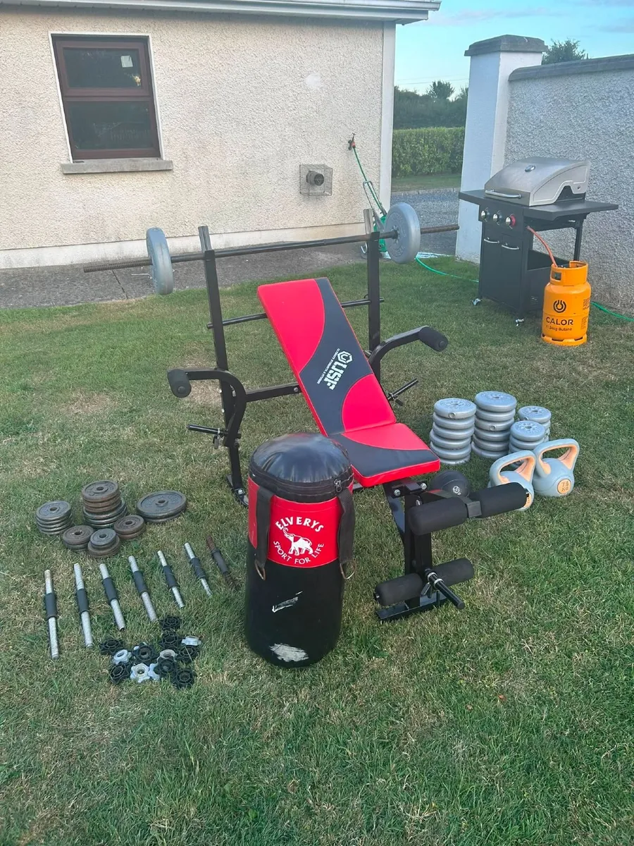 Bench Press + Asdorted Weights and Punch Bag - Image 2