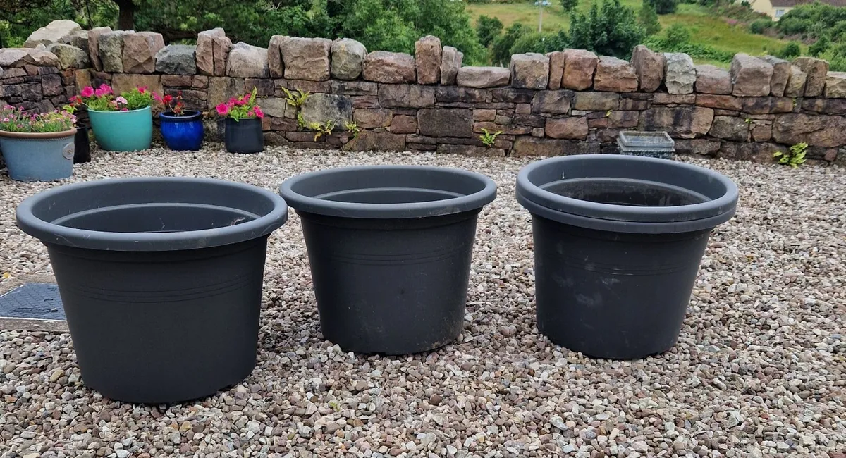 Large flower pots