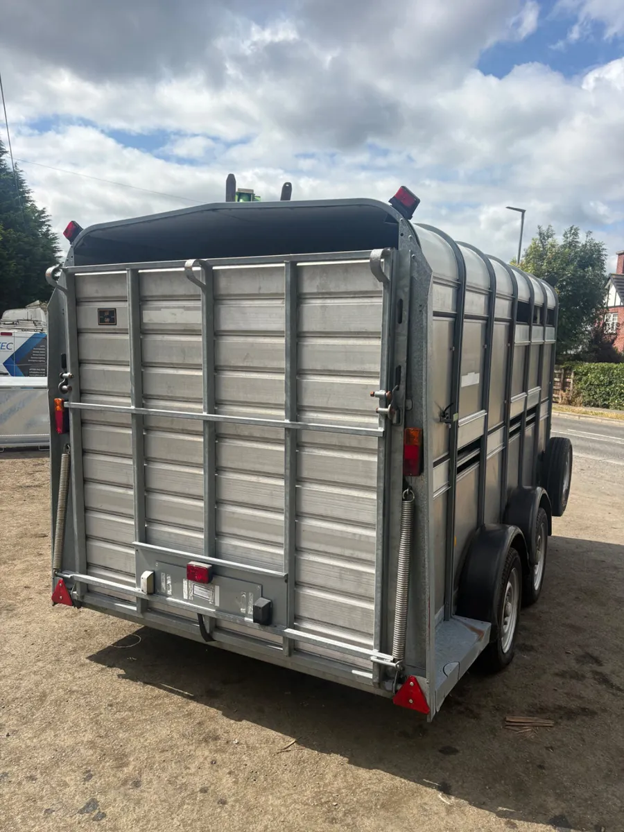 Ifor Williams 12ft cattle trailer - Image 2