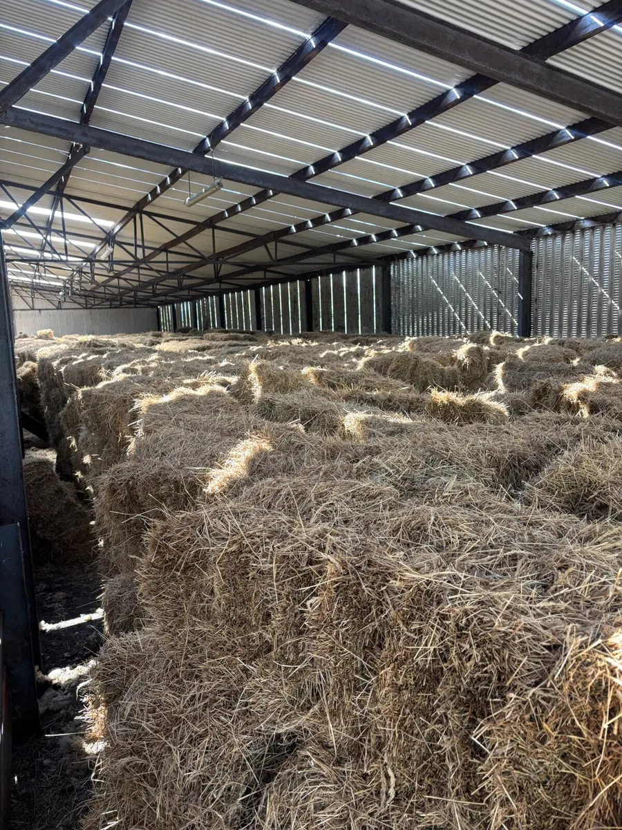 Hay and Straw - Image 1