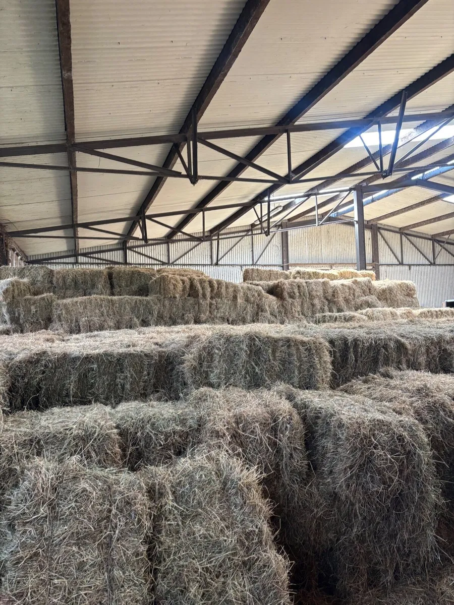 Hay and Straw - Image 2