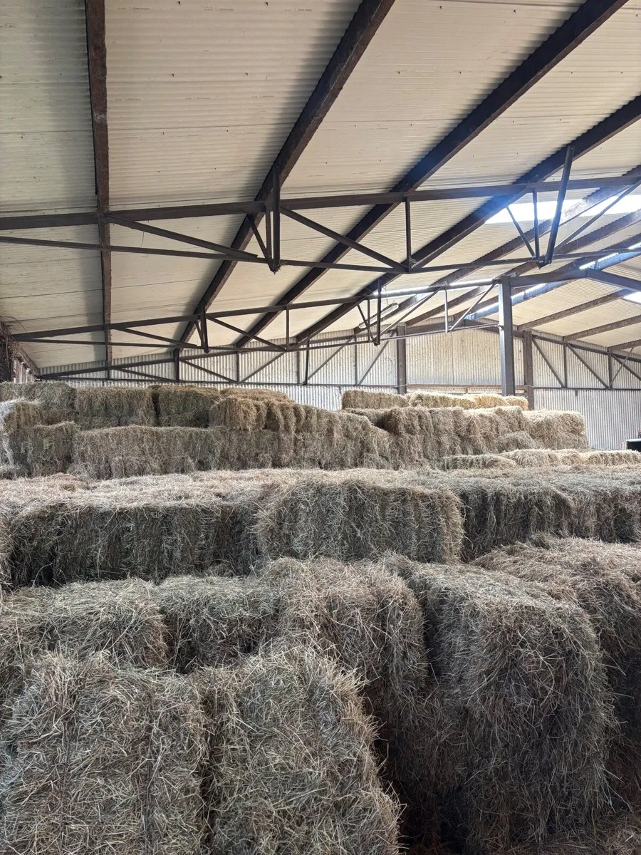 Hay and Straw - Image 4