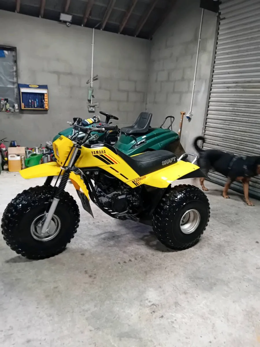 Yamaha 225dx trike atc - Image 1