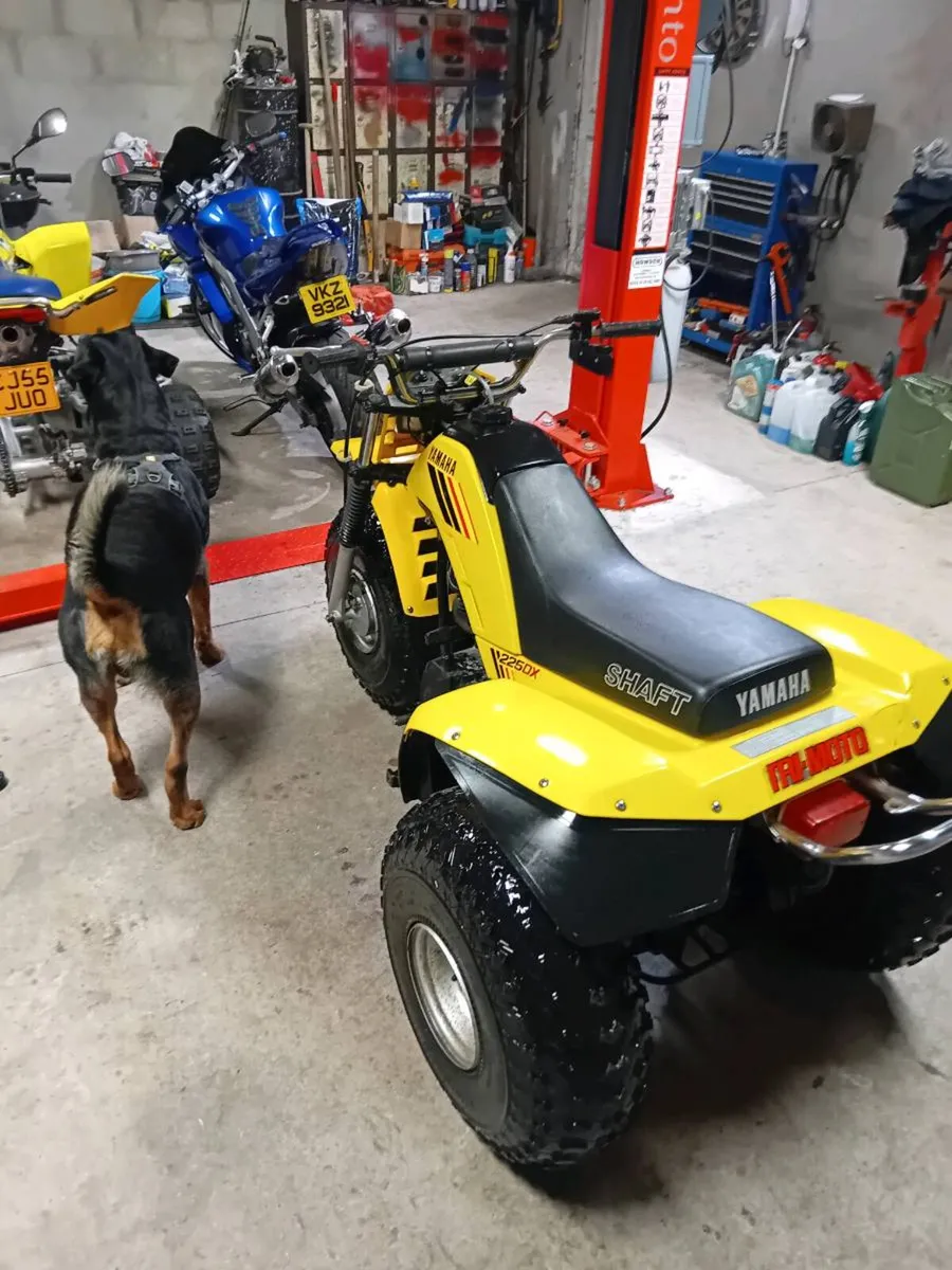 Yamaha 225dx trike atc - Image 2