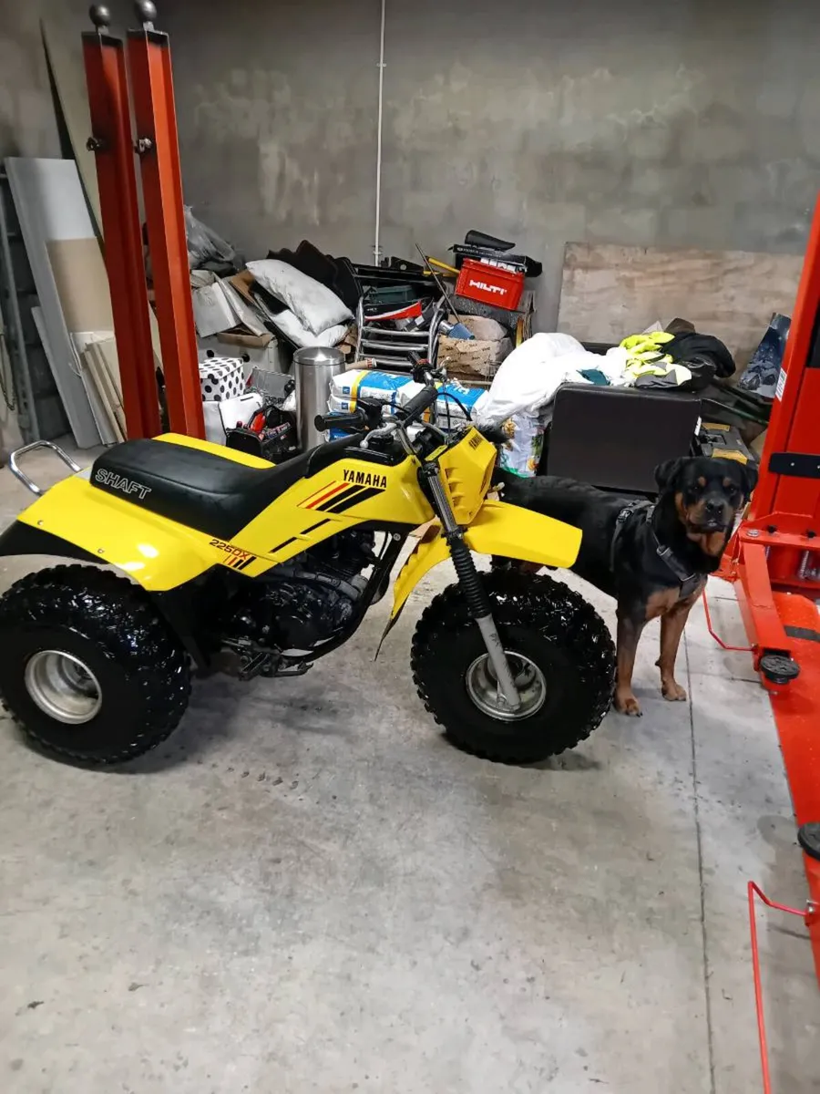 Yamaha 225dx trike atc - Image 3
