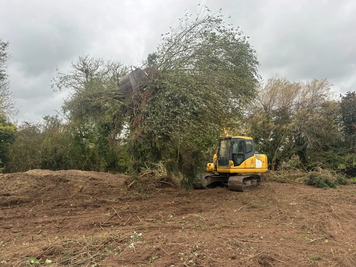Tree shear saw head and mulcher hire - Image 4