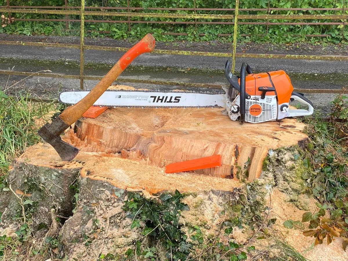 Tree felling - Image 1