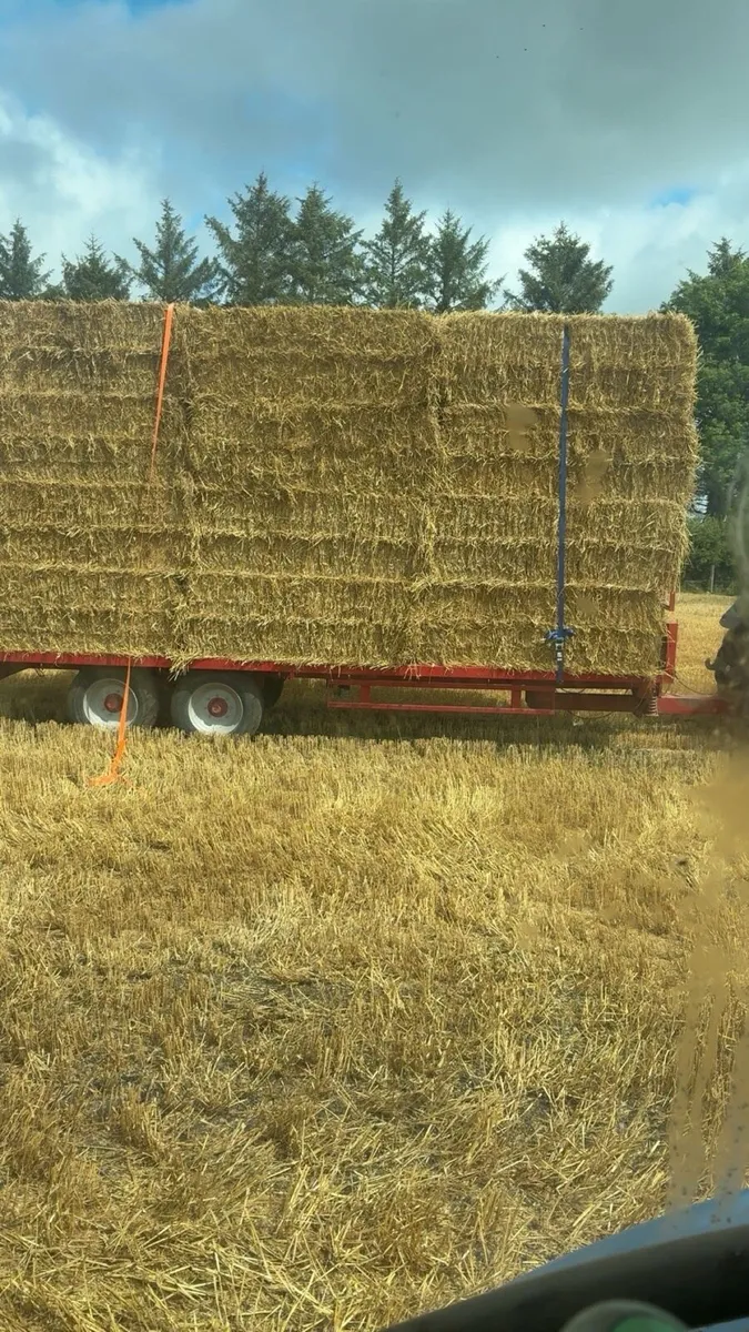 wheaten straw 8x4x3 - Image 1
