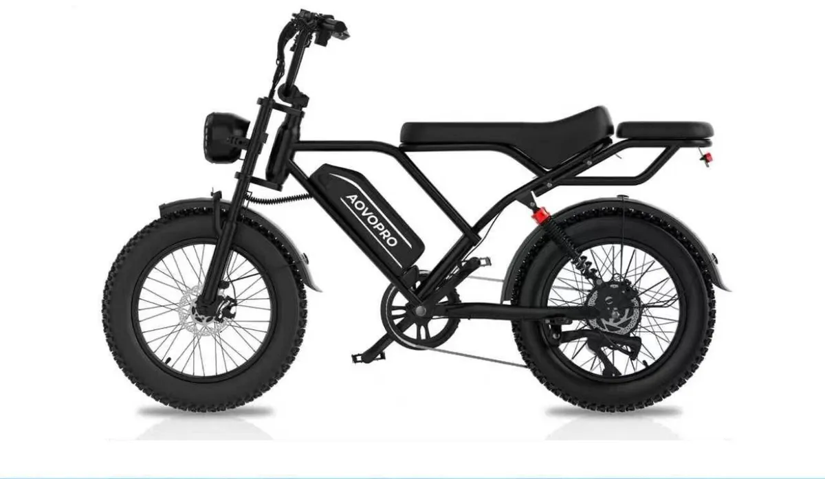 Aovopro AP20 Fat Tyre Bike - Image 1