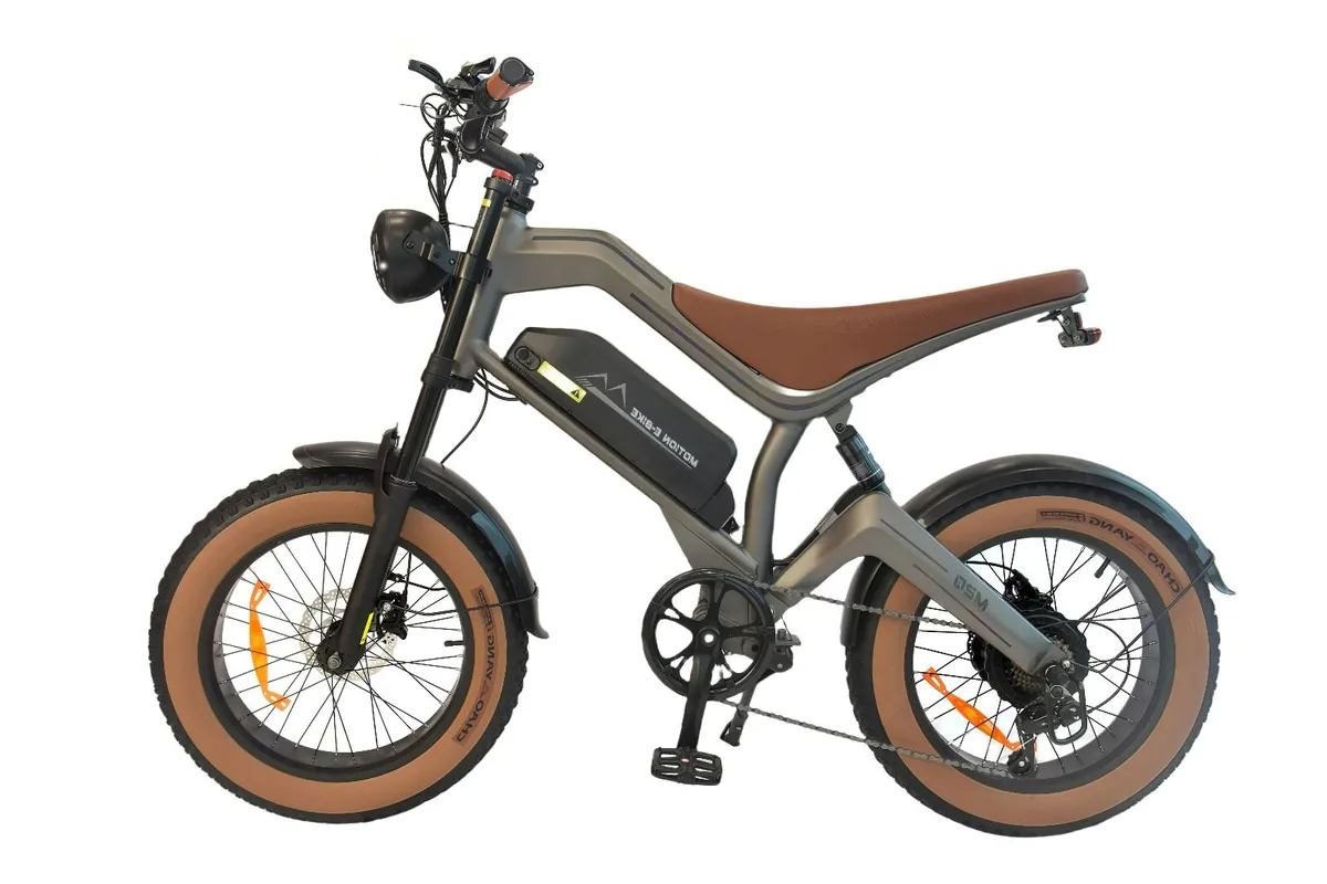 Zonveer M20 Fat Tyre Electric bike - Image 1