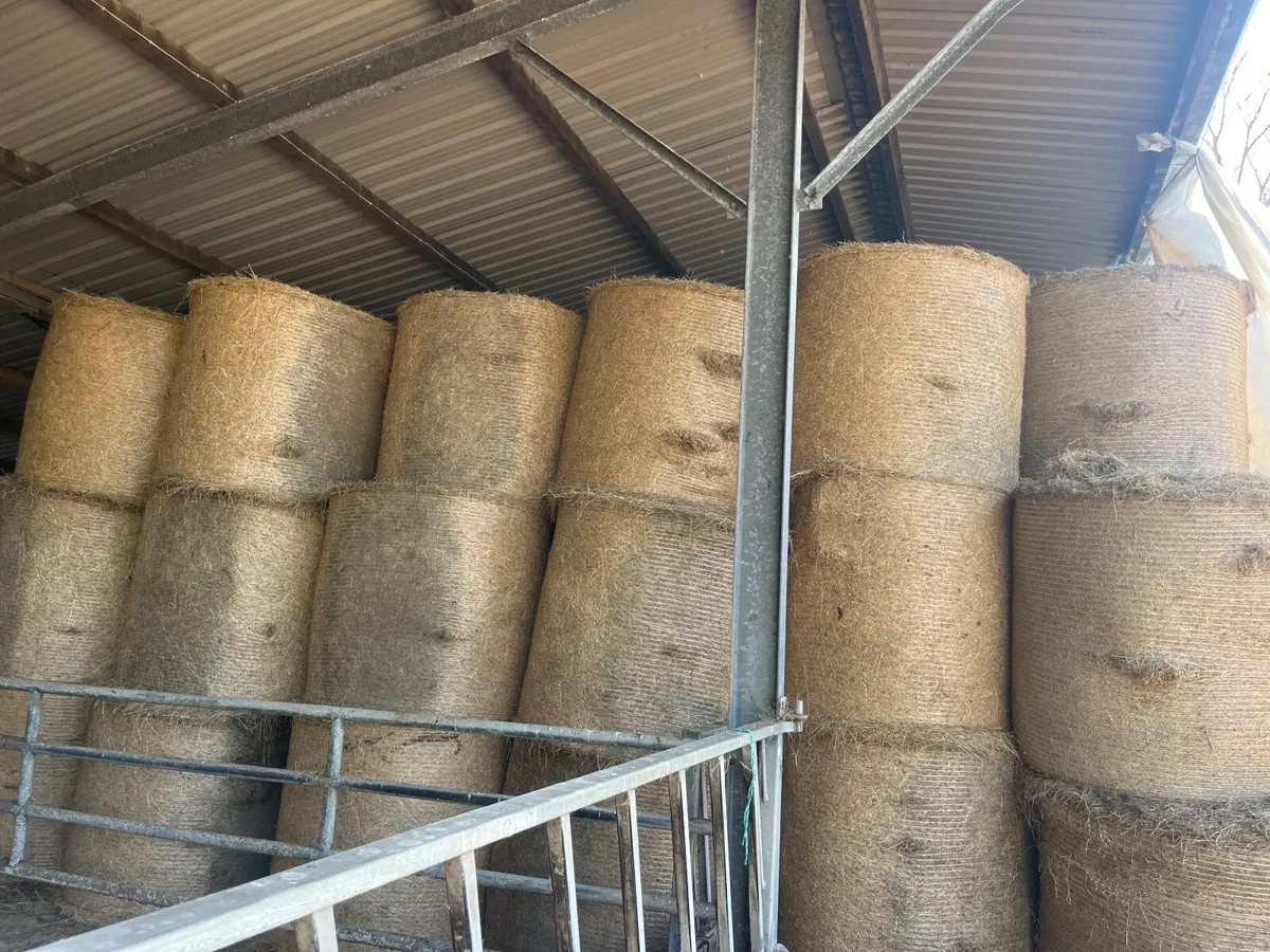 Hay and silage - Image 4
