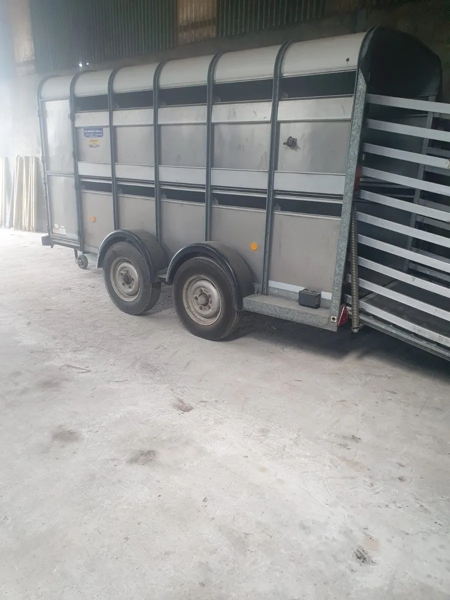 Ifor Williams stock box - Image 3