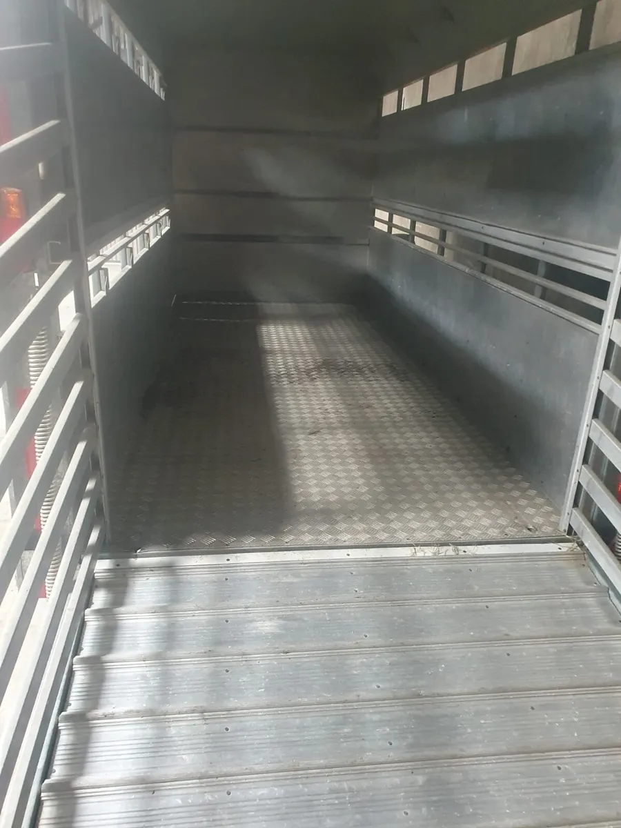 Ifor Williams stock box - Image 4