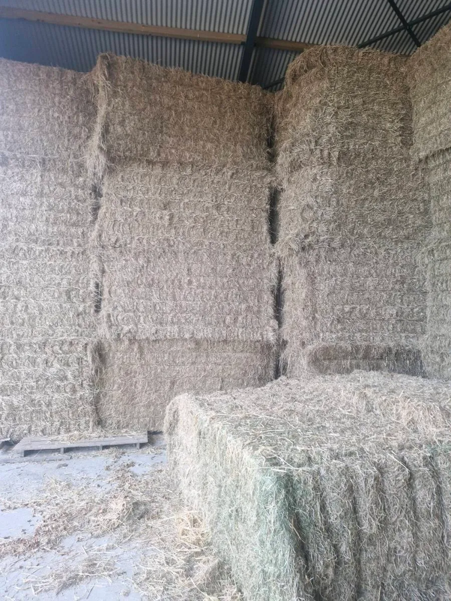 Square bale of hay