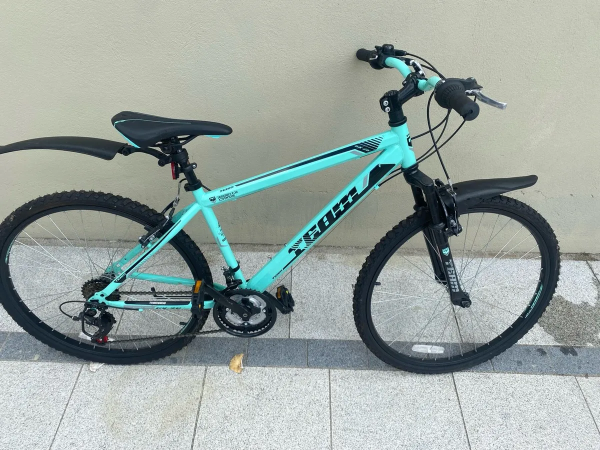 TEAM GX26 kids mountain bike - Image 1