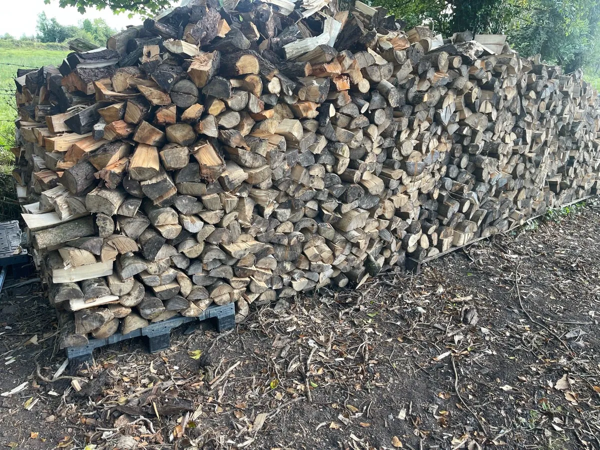 Hardwood - Image 4