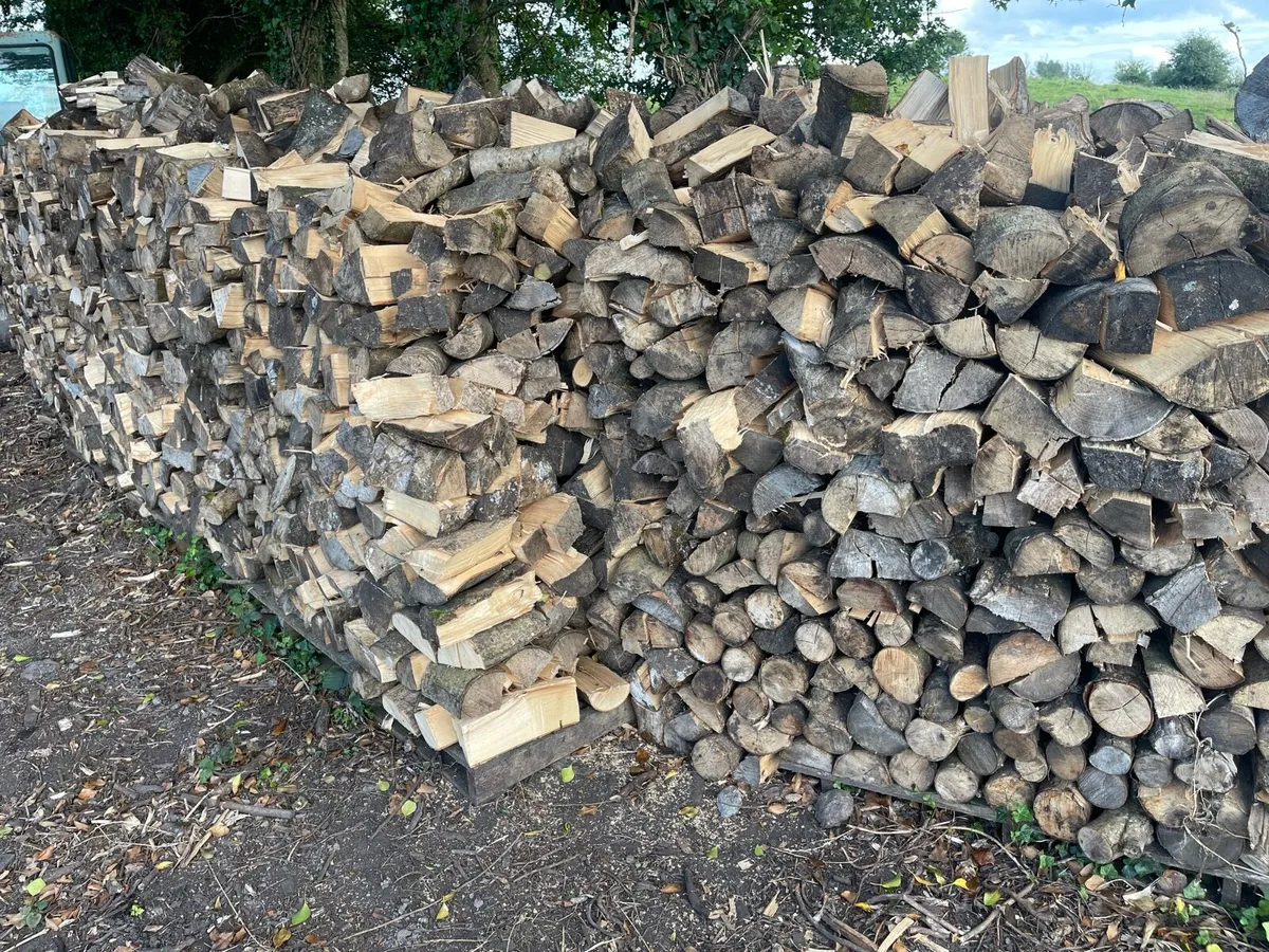 Hardwood - Image 2