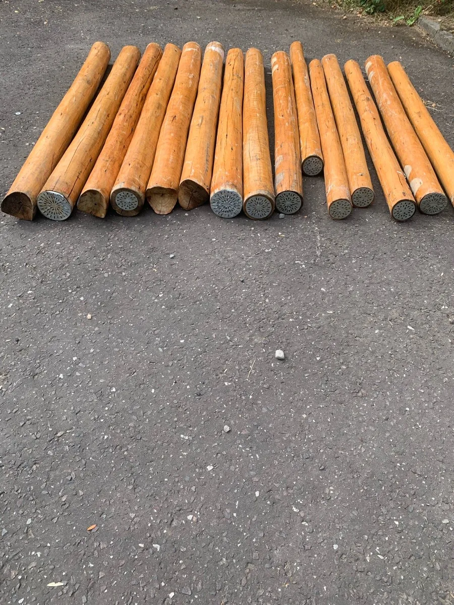 Cedar logs. - Image 2