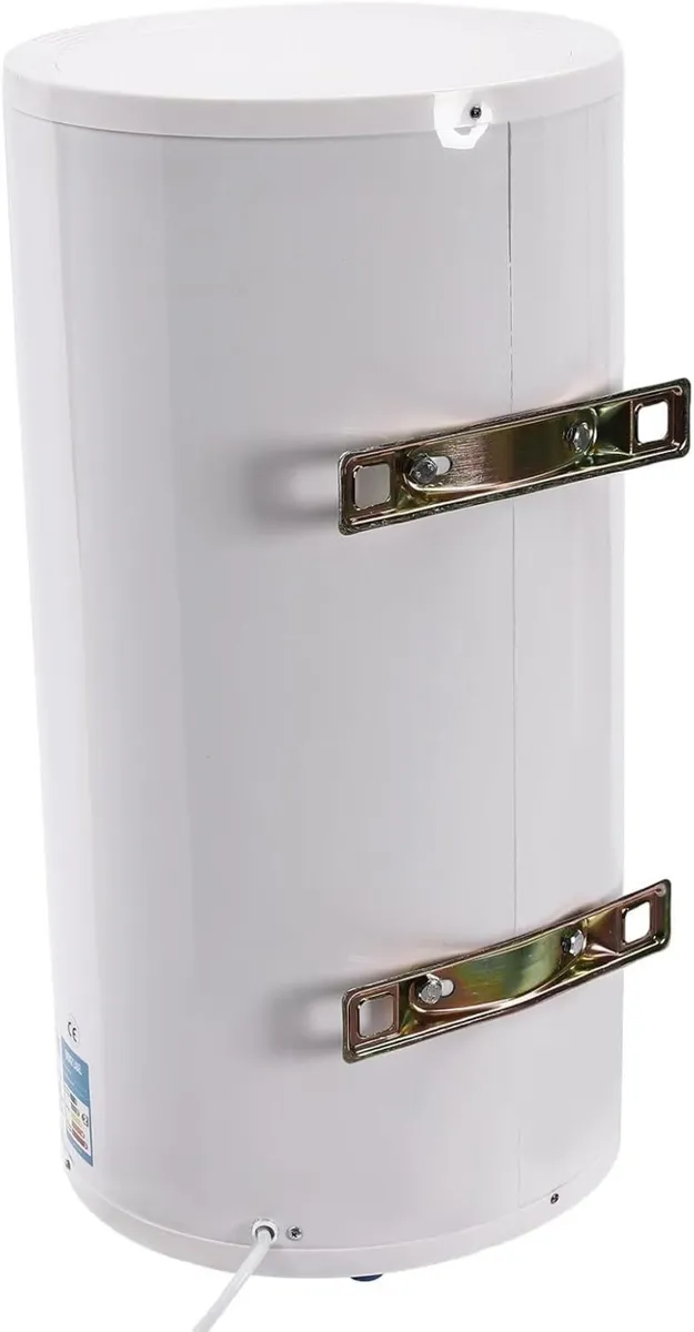 100L Electric Water Heater 2000W 220V Storage Tank - Image 3