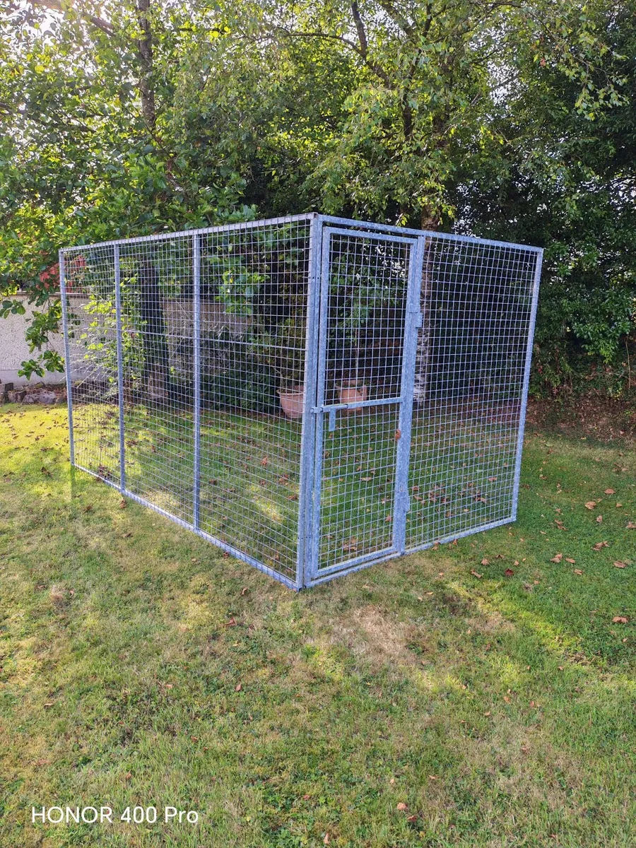 Dog run