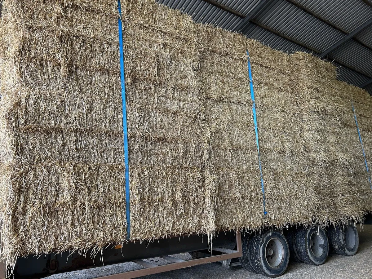 Barley straw 8x4x3 - Image 2