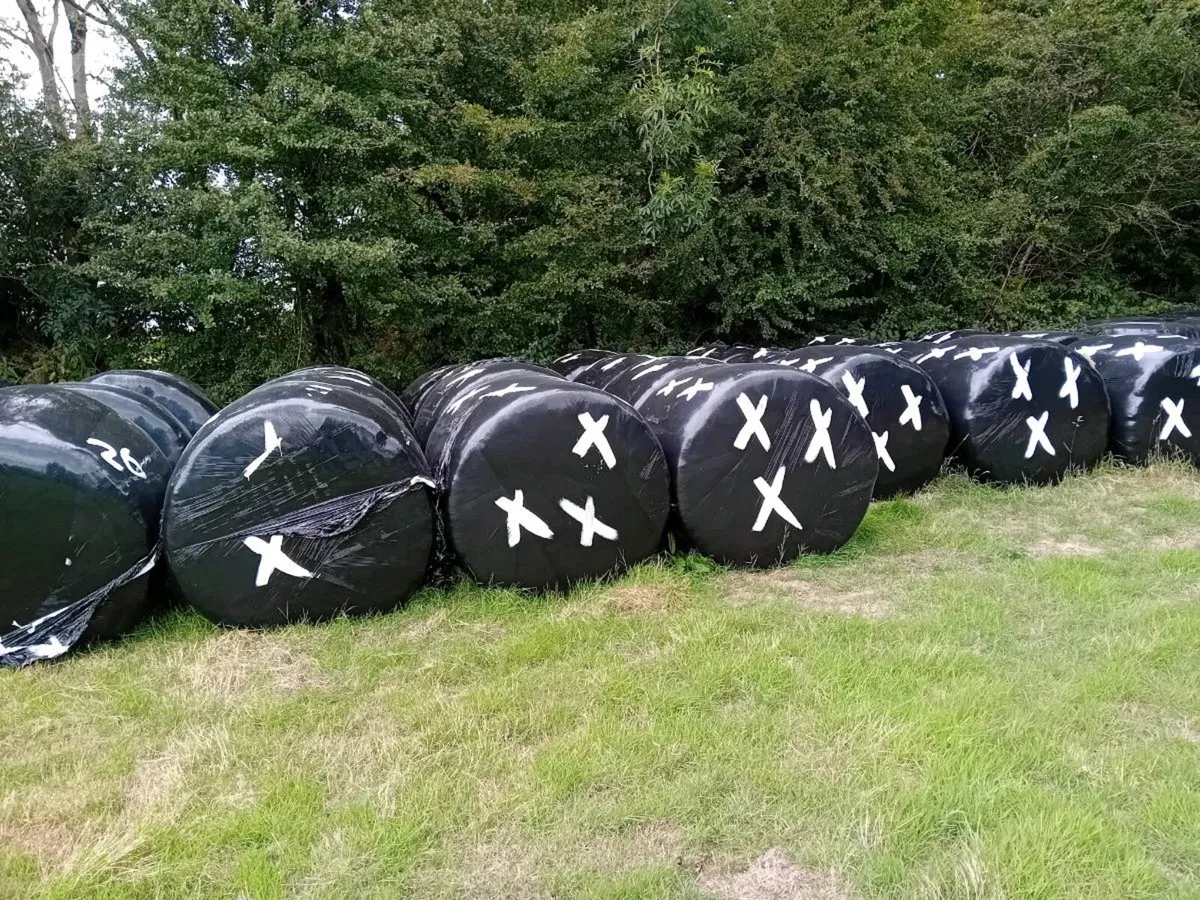 Silage - Image 1