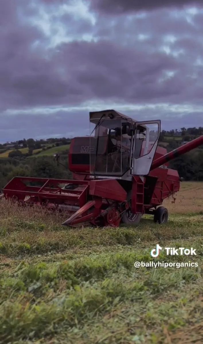 Massey 20 - Image 2