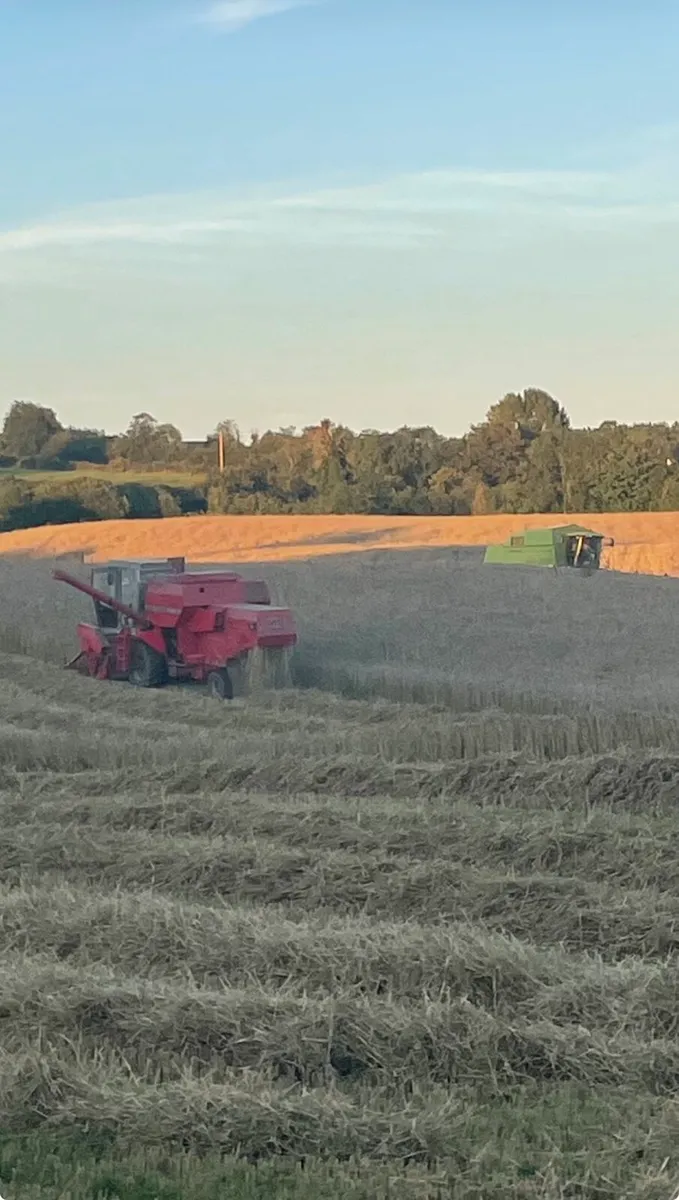 Massey 20 - Image 3