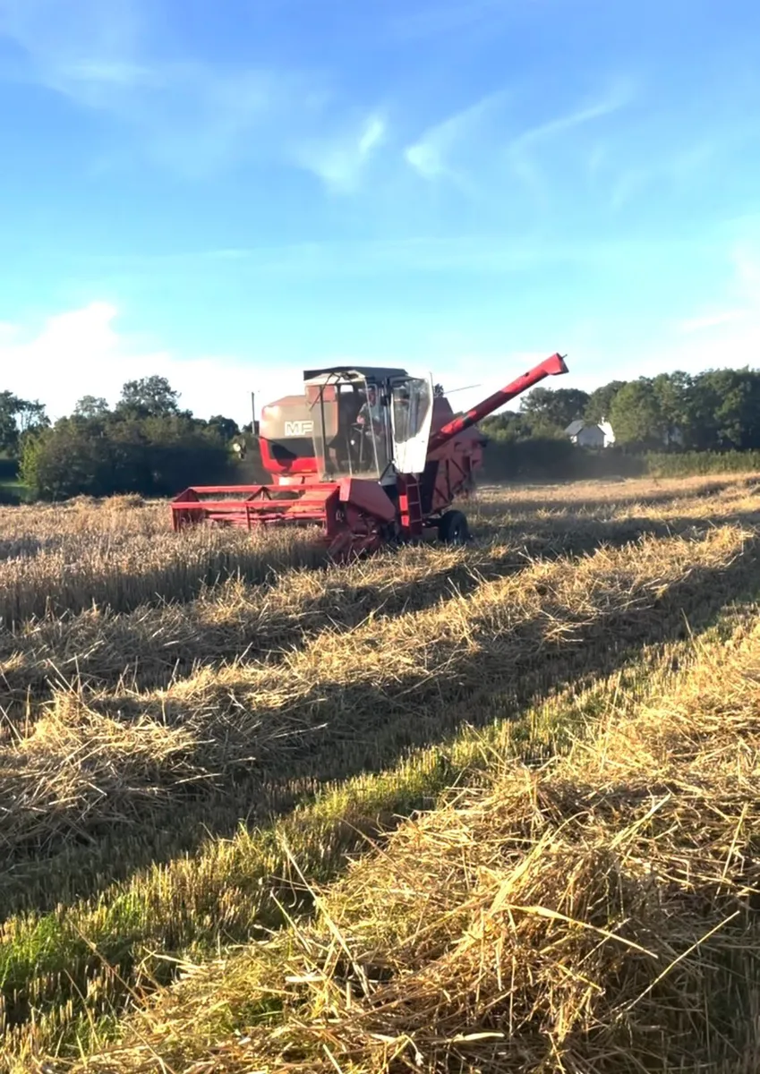 Massey 20 - Image 1