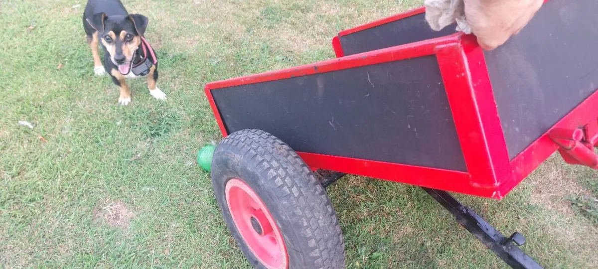 Berg Trailer - Image 2