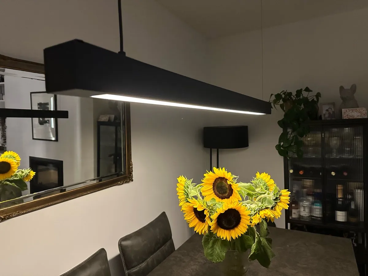 Pendant light - Image 1