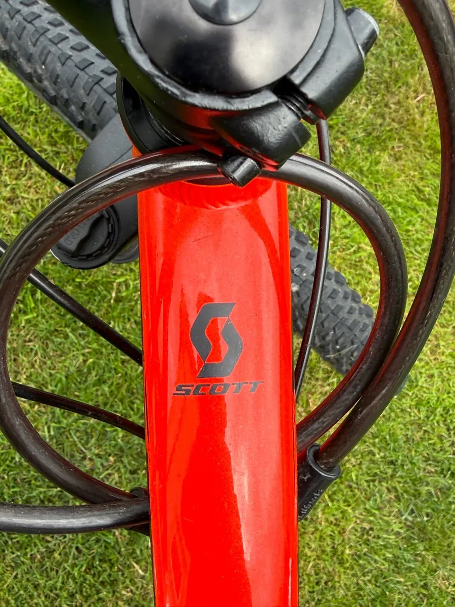 Bike - Image 4