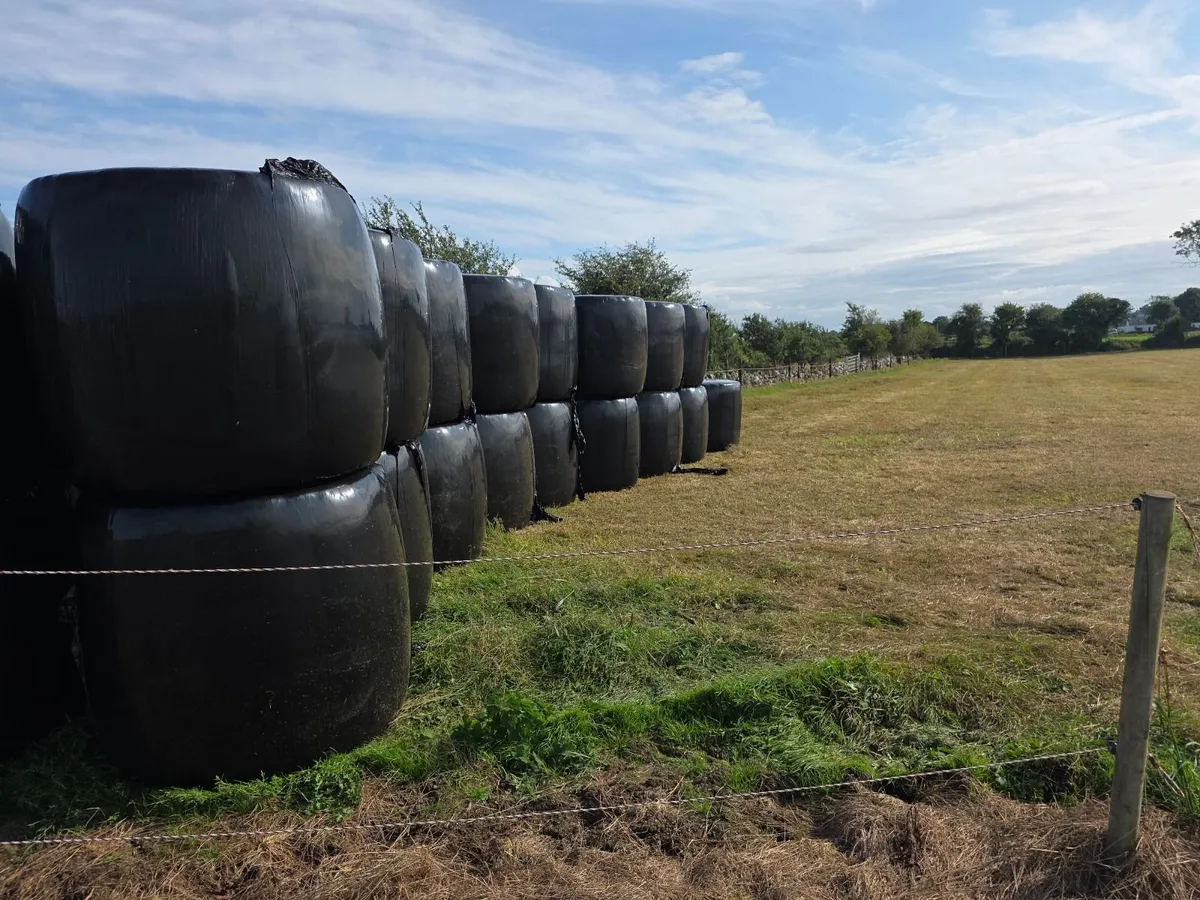 Haylage - Image 2