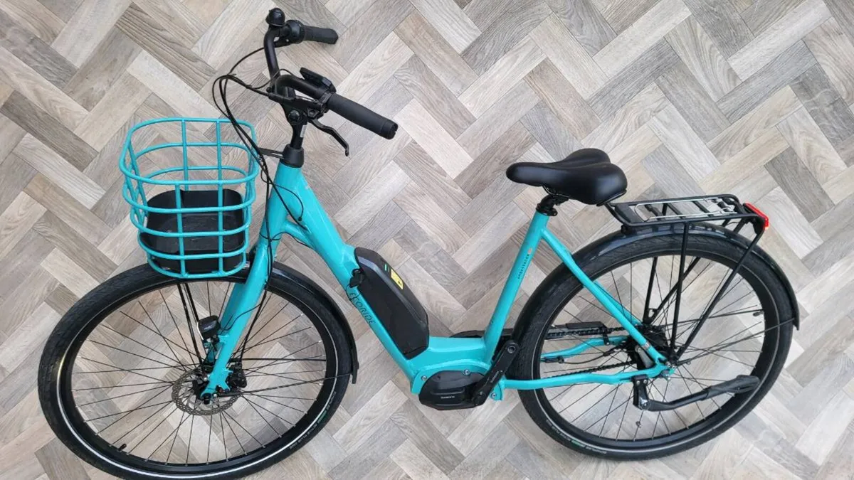 ECORIDE,  MADE IN SWEDEN 🇸🇪 - Image 4