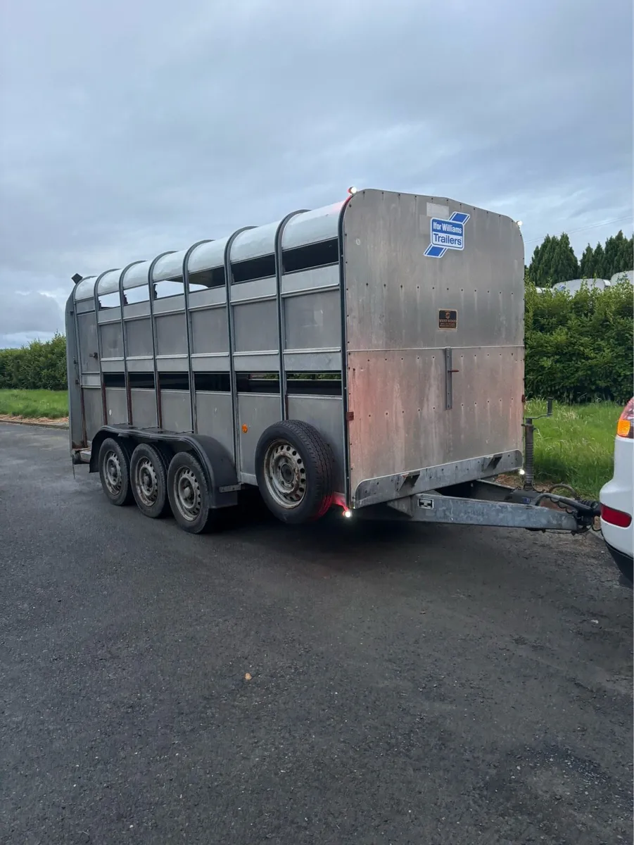 2013 Ifor williams 14x6 Cattle/sheep box - Image 2