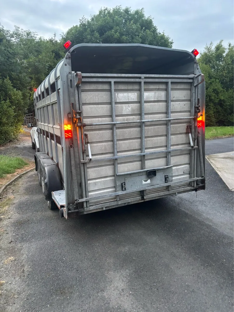 2013 Ifor williams 14x6 Cattle/sheep box - Image 3