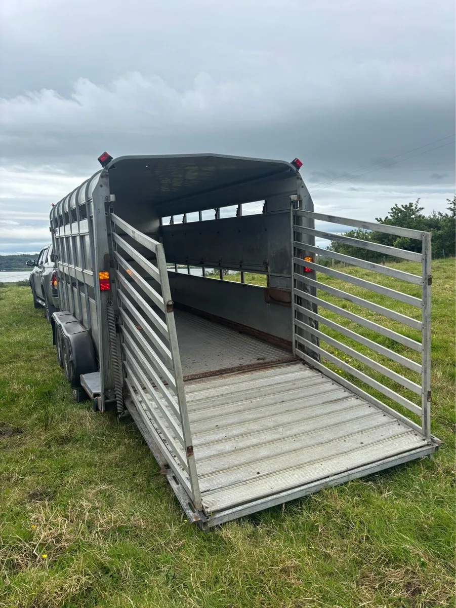 2013 Ifor williams 14x6 Cattle/sheep box - Image 4