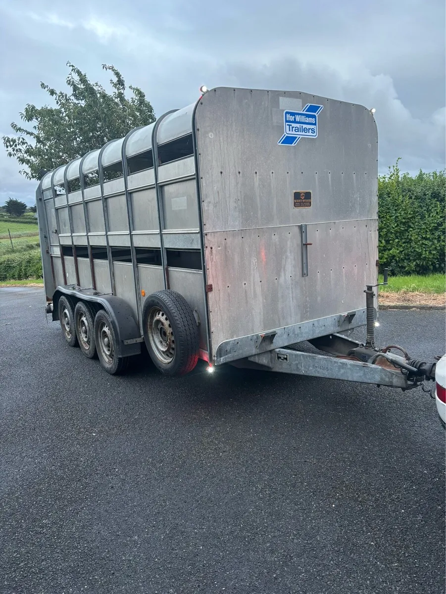 2013 Ifor williams 14x6 Cattle/sheep box - Image 1
