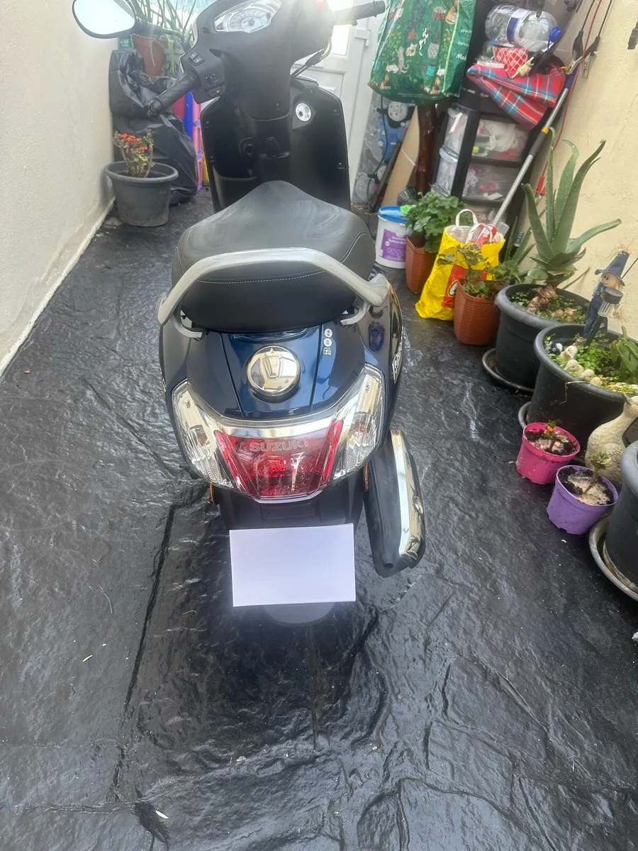 Suzuki address - Image 4