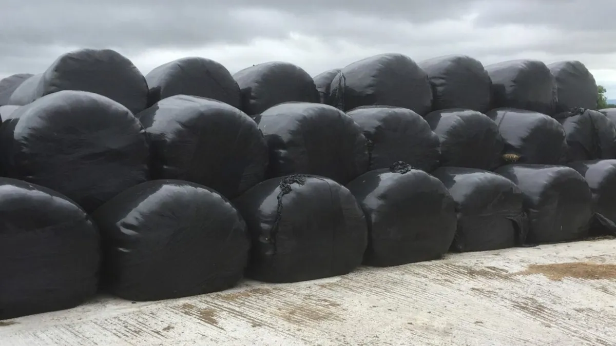 15 Bales of Silage for sale.