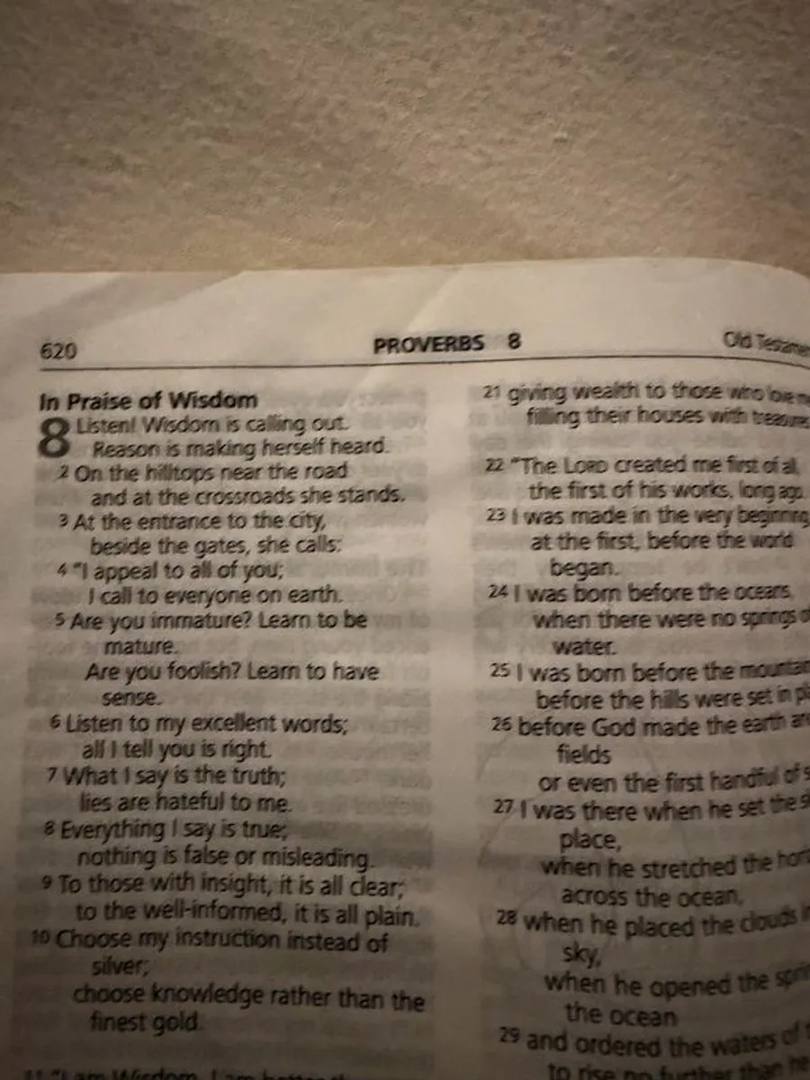 Bible - Image 2