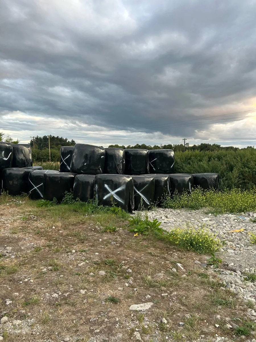 Silage for sale