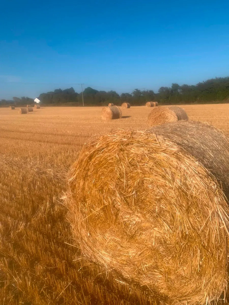 Oaten Straw and Hay Bales