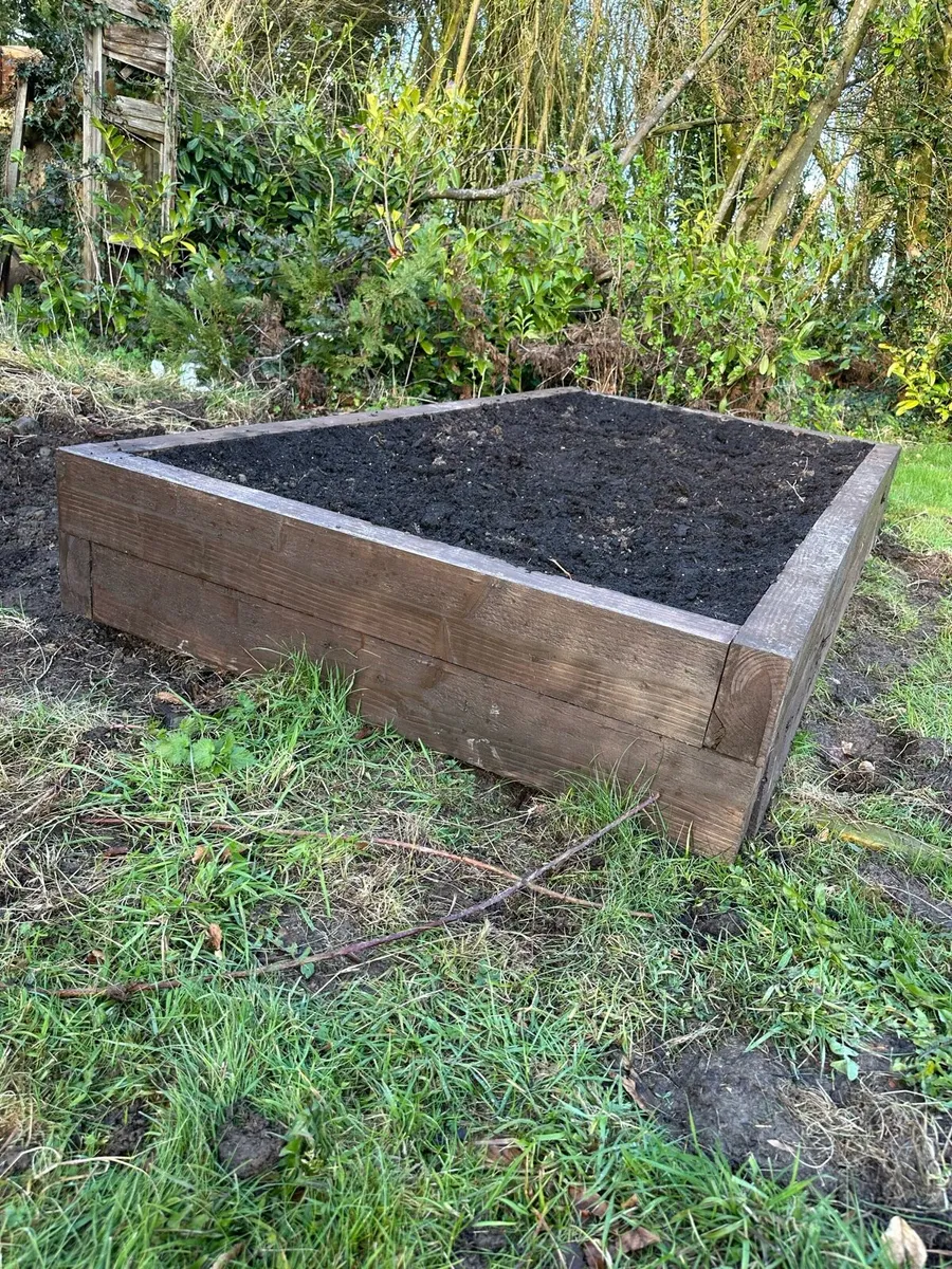 Raised Garden Beds - Image 3