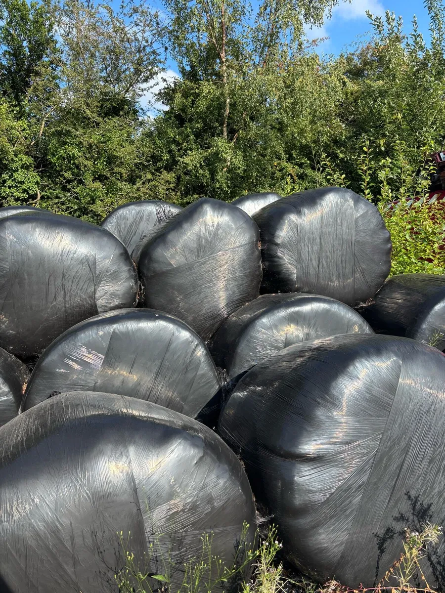 Silage bales